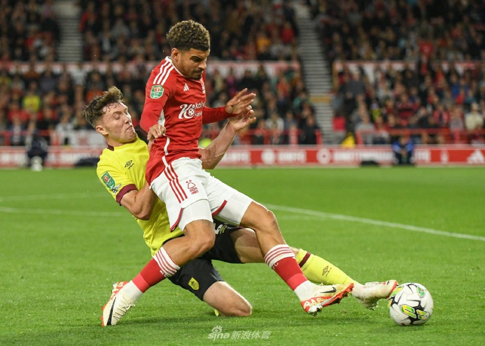 这不仅证明 这不仅证明